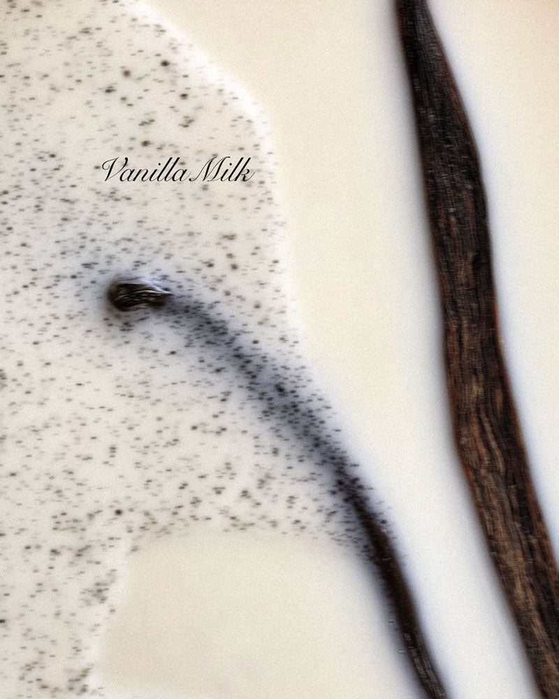 Vanilla milk with vanilla bean on a white background