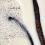 Vanilla milk with vanilla bean on a white background