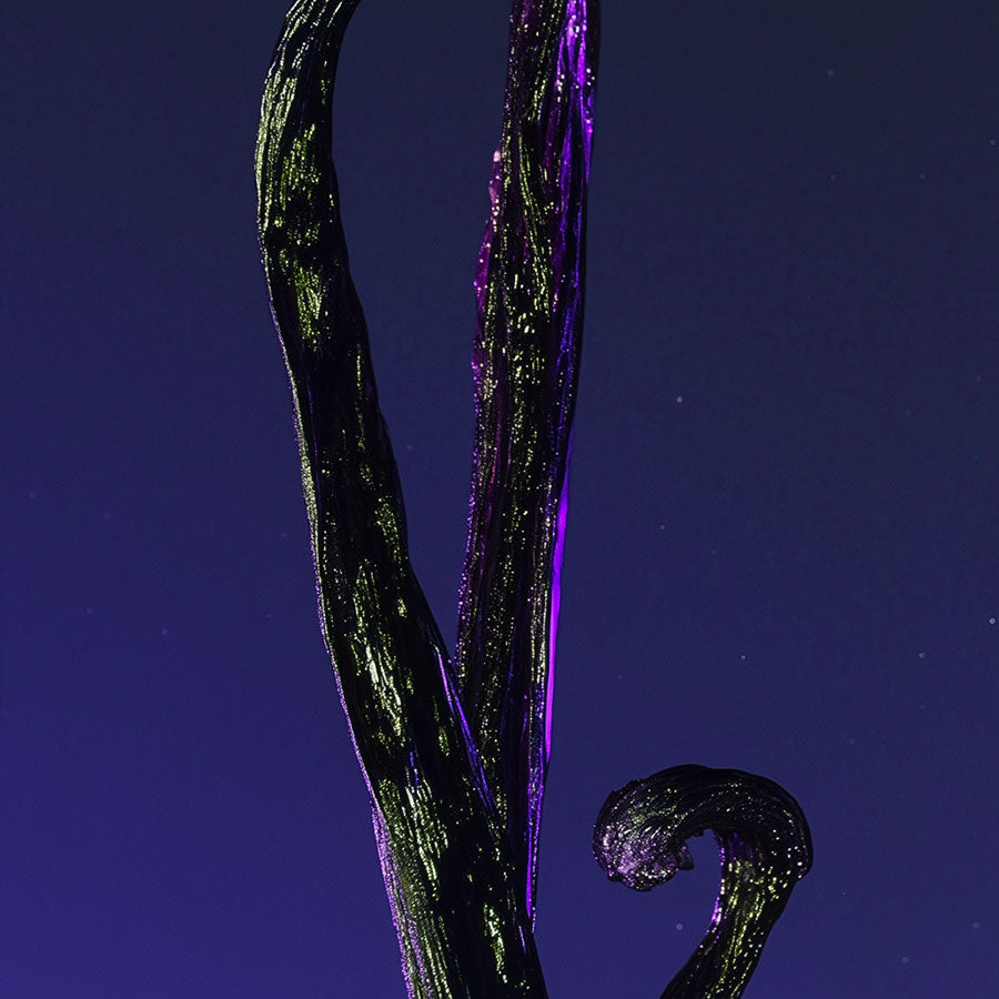 Close-up of a dark, twisted vanilla bean against a purple background