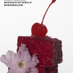 cherry and marshmallow with a text overlay that says the notes "Maraschino Cherry, Cherry Blossom, Madagascar Vanilla and Marshmallow"