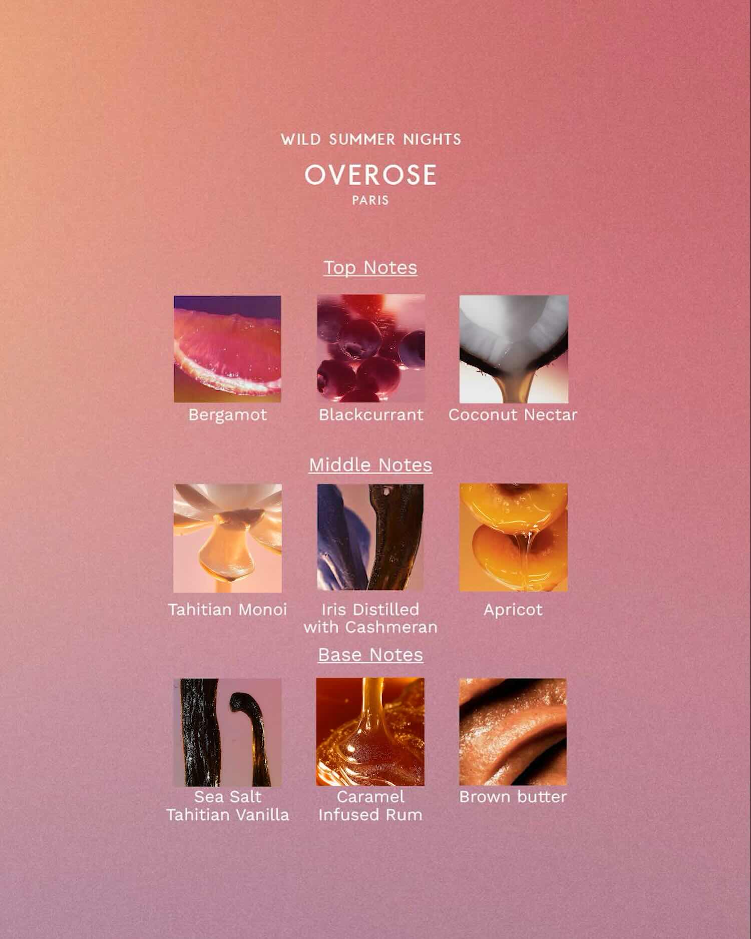 Product description card for Overose 'Wild Summer Nights' with flavor notes on a pink gradient background